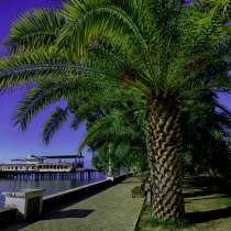 Отдых в Абхазия автобус + поезд это удобно не утомительно!!, в г.Минск