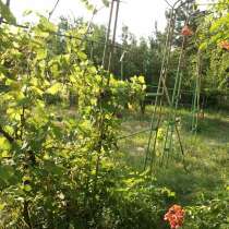 Срочно продам дачу, р-н Палиево, в г.Одесса