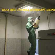 Уничтожение короеда в Орле холодным туманом, в Орле