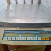 Электронные весы, в Анне