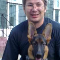 Кинолог: профессиональная дрессировка собак, в Москве