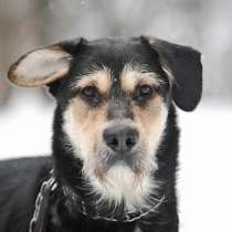 Малыш ищет дом, в Москве