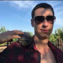 Сергей, 31 год, хочет пообщаться, в г.Bustehrad