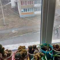 Продам однокомнатную квартиру в центре Лутугино, в г.Лутугино