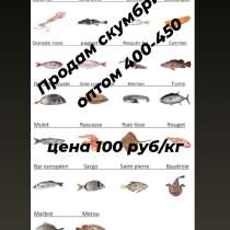 Ищу представителя, в Пензе