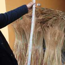 Трева сорго, в г.Ташкент