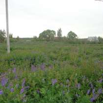 15 соток в деревне. Электричество по границе, в Михнево