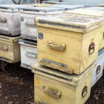 Ульи для пчел, в Москве