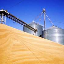 Экспорт зерна пшеницы, в г.Костанай