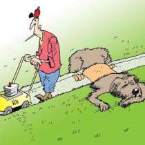 Покос травы, в Белореченске