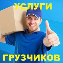 Грузчики, в Новороссийске