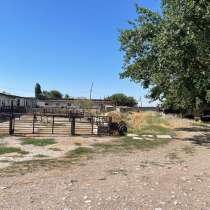 Продается готовый бизнес Сарай (Кошара) в Кара балте, в г.Бишкек