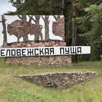 Трансфер из Бреста в Беловежскую пущу и обратно, в Москве