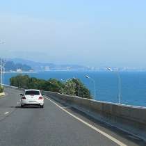 Совместная поездка на море, в Краснодаре