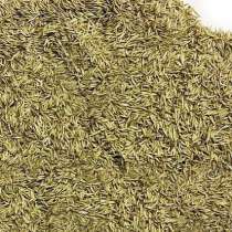 Семена Ежи сборной (Dactylis glomerata L), в Курске