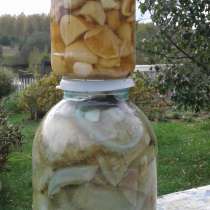 Продаю грибы, в Чайковском