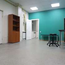 DogPride в Саратове, в Саратове