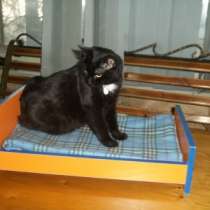 Лежак "Кроватка", в Туле