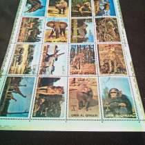 МАРКИ РАЗНЫЕ, в г.Гомель