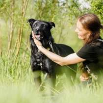 Великолепный Ральф ищет дом, в Санкт-Петербурге