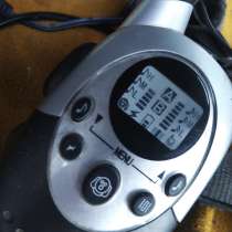 Электронный ошейник, в Тольятти