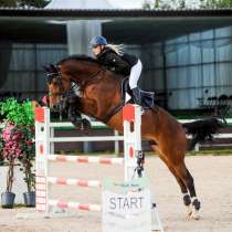 Обучение верховой езде, в Санкт-Петербурге