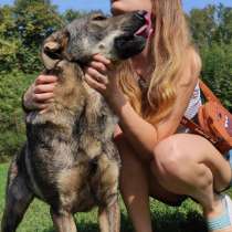 Мартин ищет дом и хозяина, в Москве