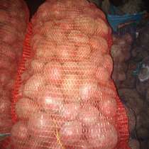 Продам картофель, в Джанкое