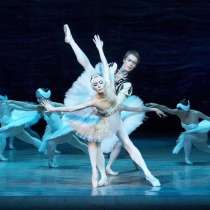 Билеты на балет Лебединое озеро, в Калуге