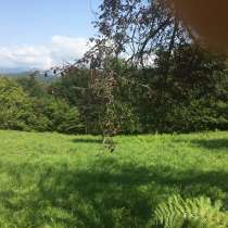 З/у 25 сот ЛПХ, Сочи, с. Каштаны(Хоста), в Сочи