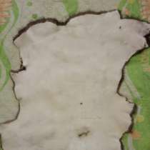 Продаю выделаные шкуры бобров, в Воронеже