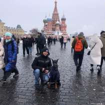 Сниму квартиру, район юз рынка или Димитрова, 15000, в Воронеже