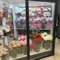 Продам холодную камеру для цветов со сплит системой, в Новосибирске
