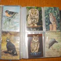 Карманные календари времен СССР, в Санкт-Петербурге