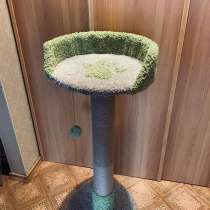 Когтеточка «Биг босс», в Хабаровске