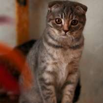 Вы не меня искали?, в Кисловодске