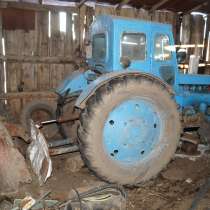 Сельскохозяйственный Бизнес, в Магнитогорске