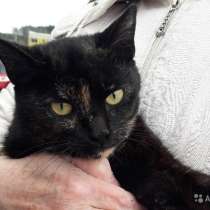 Большая беда маленькой Ники, в Подольске