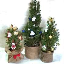 Ели канадские Коника в горшках, в Челябинске