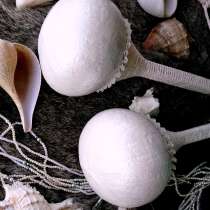 Маракасы Снежный жемчуг, в Москве