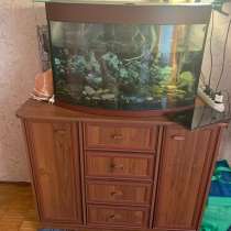 Аквариум, в Москве