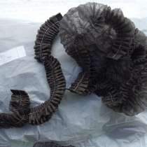 Гигиенические шапочки «Шарлотта», в Архангельске