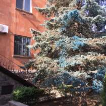 Четырехэтвжный каменный дом 8-улица Айгестан в центре, в г.Ереван