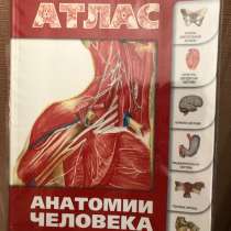 Атлас по анатомии, в Набережных Челнах
