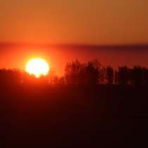 Сдам землю сельхозназначения, в Омске