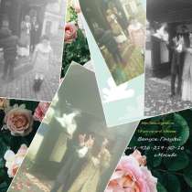 ГОЛУБИ, в Москве