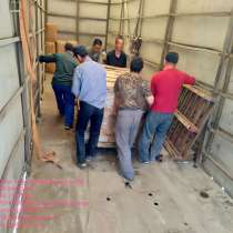 Контейнерные и вагонные перевозки в Душанбе, в г.Гуанчжоу