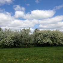 Продаются земельные участки в д. Насекина (район д. Каменка), в Тюмени