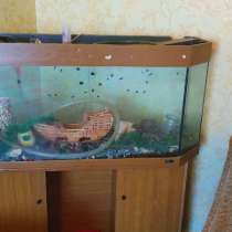 Аквариум, в г.Павлоград