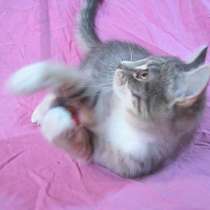 !!!Она ждет! Вас!!! (Девочке 3 мес.), в г.Усть-Каменогорск